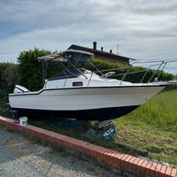 Bayliner trophy 23,50