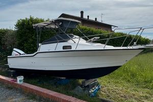 Bayliner trophy 23,50