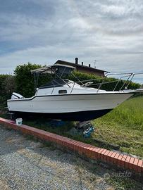 Bayliner trophy 23,50