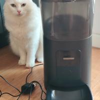 Distributore automatico Wifi