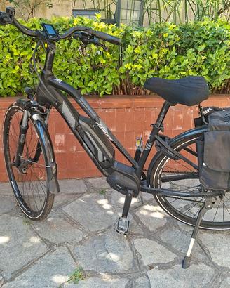 bicicletta da passeggio