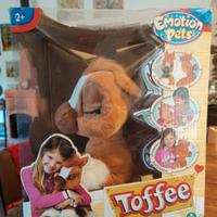 Toffee pony 