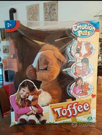 Toffee pony 