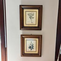 Quadri da arredo GHI.M.A (con certificato )