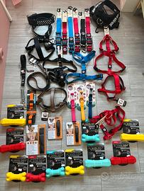 Collari e guinzagli nuovi