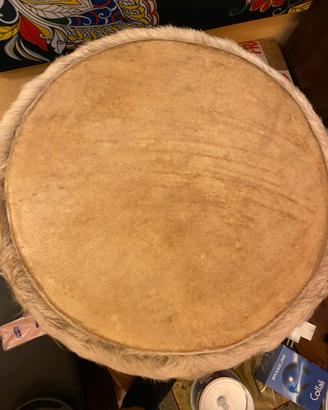 Bongo africano