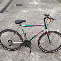 Bicicletta MTB