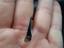 Immagine 6
