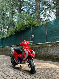 Beta Ark 50 cc
