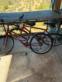 Biciclette