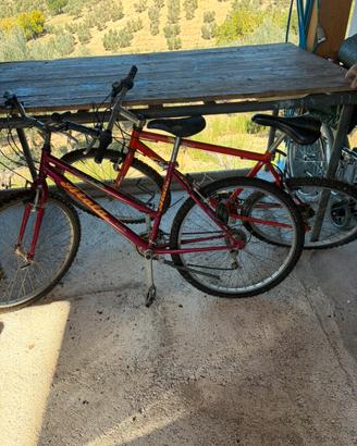 Biciclette