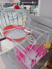 2 gabbia uscello 