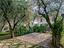 Immagine 27