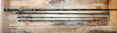 Canna bolentino Tubertini  Genetic pro 420