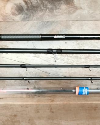 Canna bolentino Tubertini  Genetic pro 420