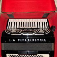 splendida fisarmonica