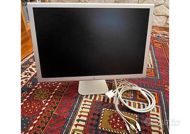 Apple Cinema Display