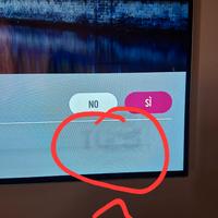 LG OLED : 55 pollici 4K OLED55B6V