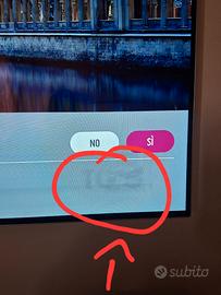 LG OLED : 55 pollici 4K OLED55B6V