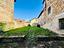 Immagine 24