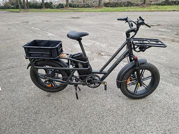 Fiido T2 Longbike e-bike cargo, prezzo trattabile