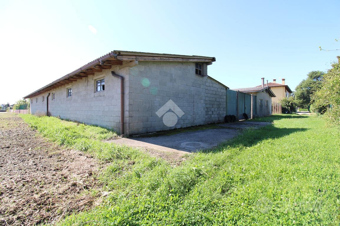 TER. AGRICOLO A TRIVIGNANO UDINESE - Altro