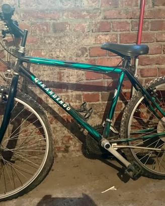 Mountain Bike GIRARDENGO