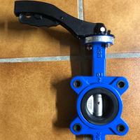 Valvola farfalla lug DN 50