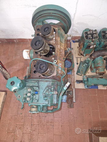 Motore Entrobordo Nautica In vendita a Trieste