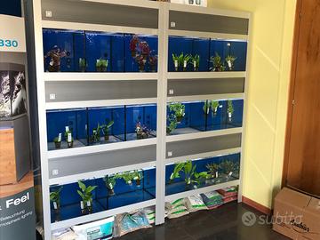 Espositore batteria acquari