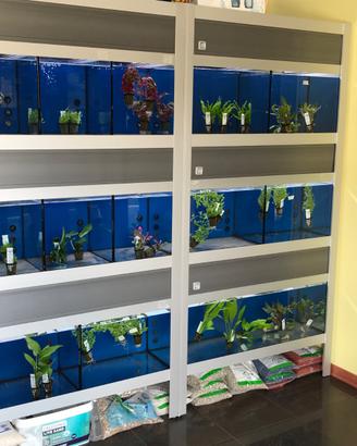 Espositore batteria acquari