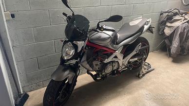 Suzuki SFV Gladius 650 - 2010
