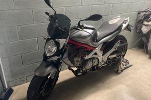 Suzuki SFV Gladius 650 - 2010