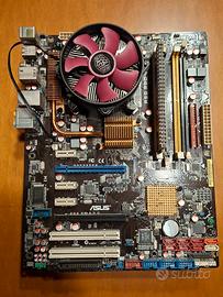 scheda video + scheda madre Asus x muletto