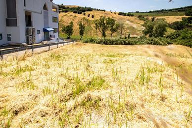 TERRENO A PORTO SAN GIORGIO