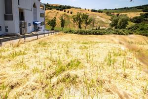 TERRENO A PORTO SAN GIORGIO