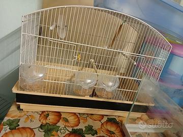 Gabbie per uccellini