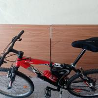 Atala wap 26"