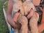 Immagine 2