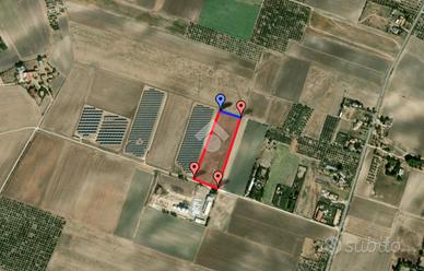 TER. AGRICOLO A TROIA