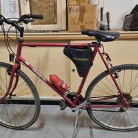 Bicicletta trubb8ani xxl -city gravel