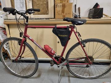 Bicicletta trubb8ani xxl -city gravel