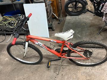 Bici mtb misura 24