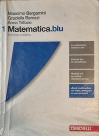 Matematica.blu Vol. 1