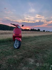 Zip fast rider