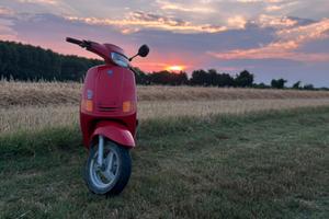 Zip fast rider