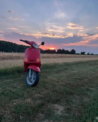 Zip fast rider