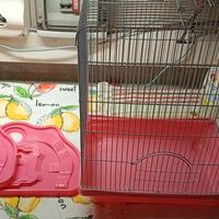 Gabbietta per piccoli animali