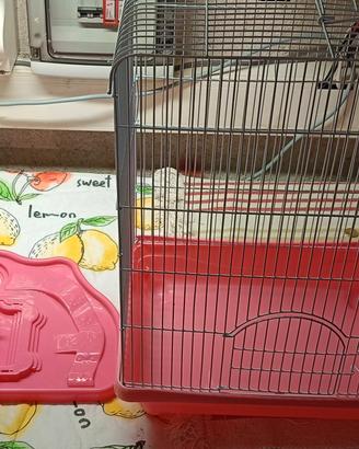 Gabbietta per piccoli animali