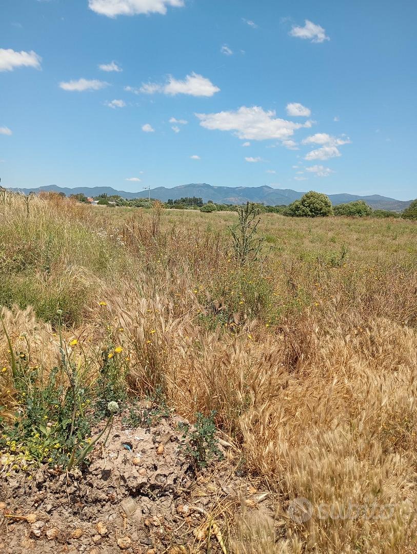 Località Bellavista, terreno 16000 mq - Vista 4